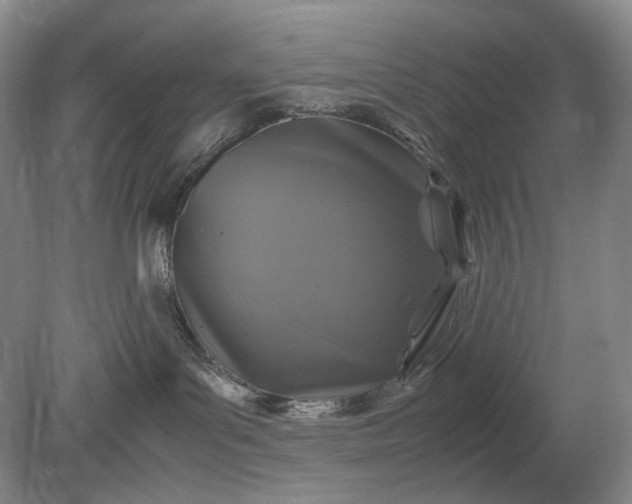 X0000079280143200612011708