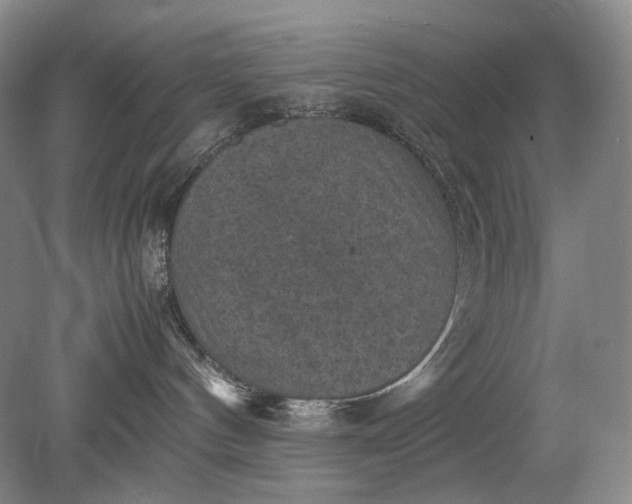 X0000079280144200612011708