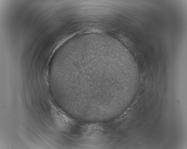 X0000079280146200612011707