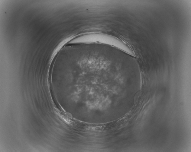 X0000079280147200612011707