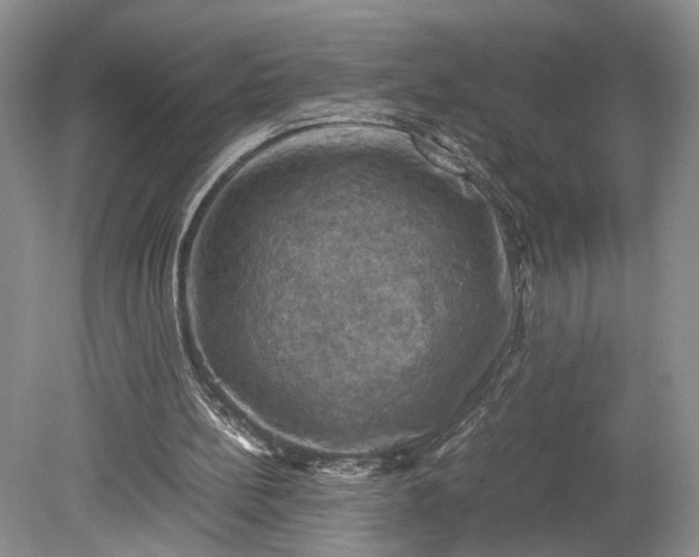 X0000079280148200612011707