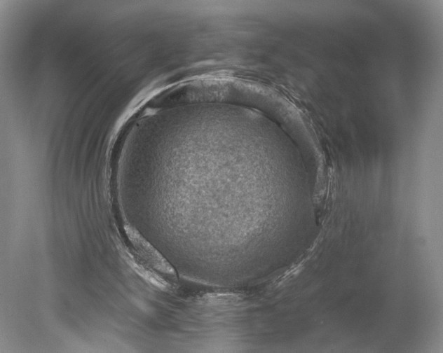 X0000079280150200612011707