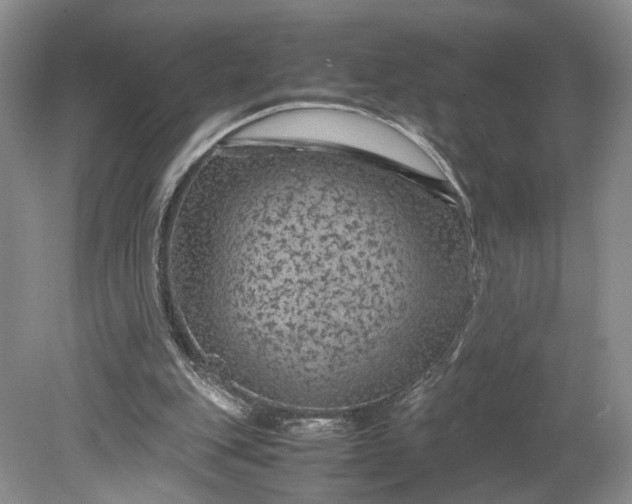 X0000079280151200612011707