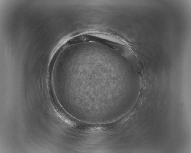 X0000079280152200612011707