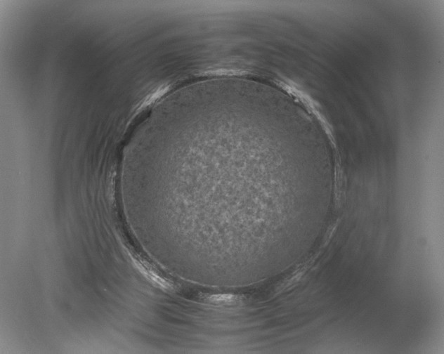 X0000079280153200612011707