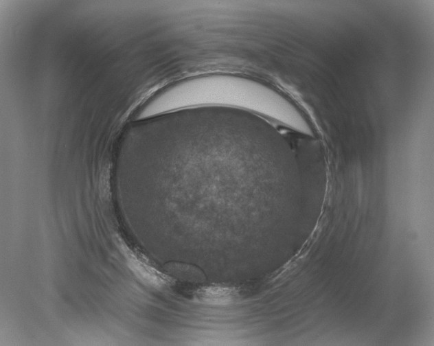 X0000079280154200612011707