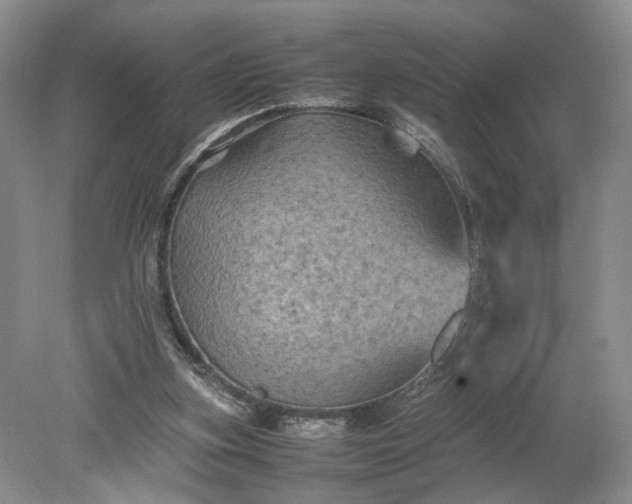 X0000079280155200612011707