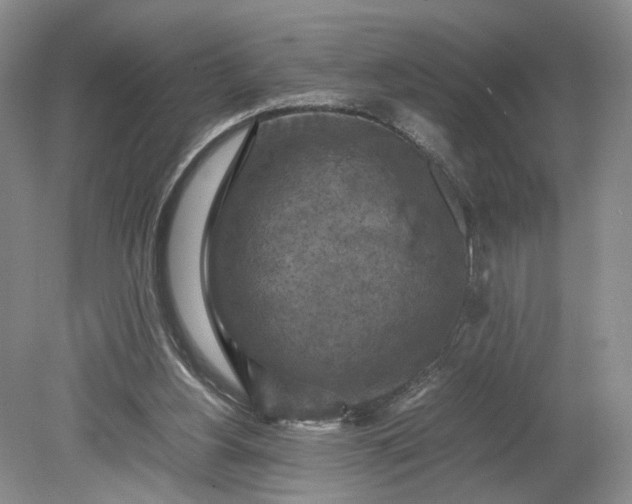 X0000079280156200612011707