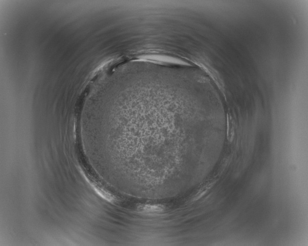 X0000079280157200612011707