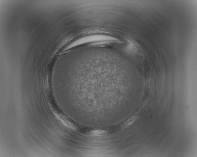 X0000079280158200612011707