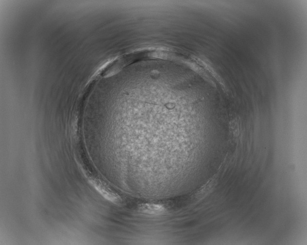 X0000079280159200612011707