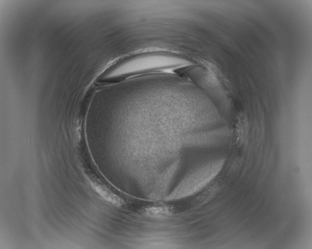 X0000079280160200612011707