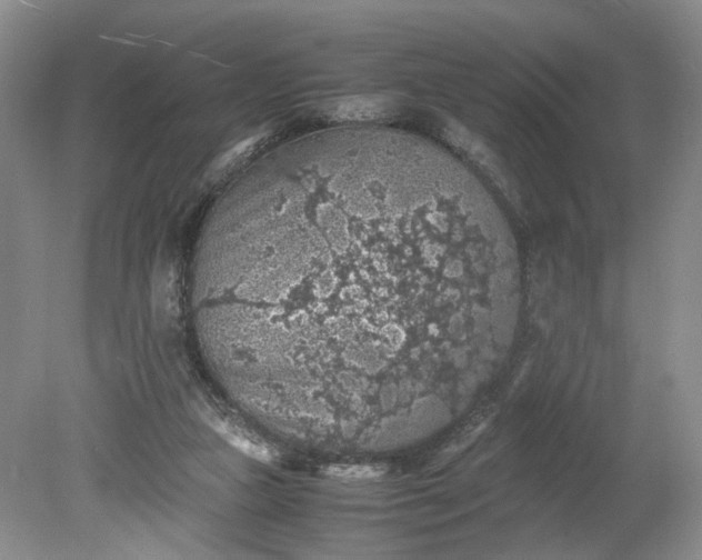 X0000079280161200612011707