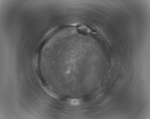 X0000079280163200612011707