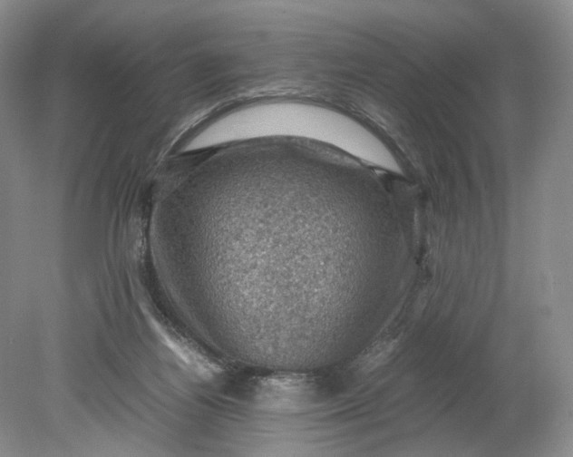 X0000079280164200612011707