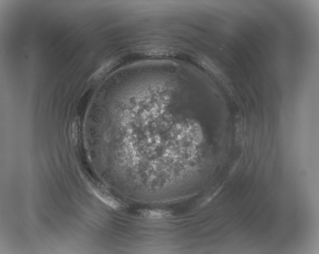 X0000079280165200612011707