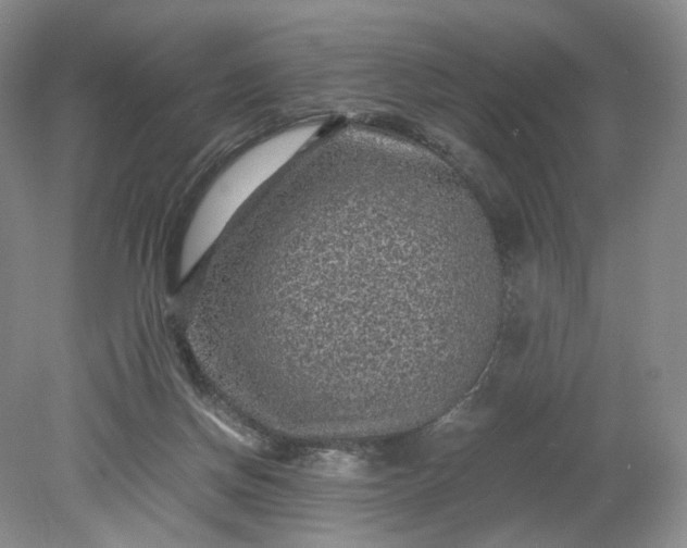 X0000079280166200612011707