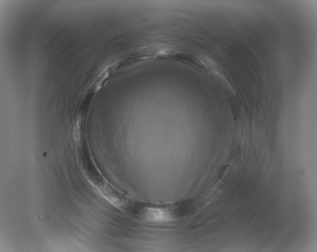 X0000079280167200612011707