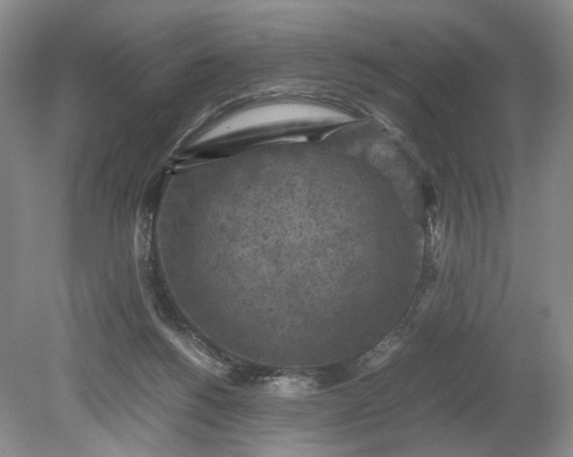 X0000079280168200612011707