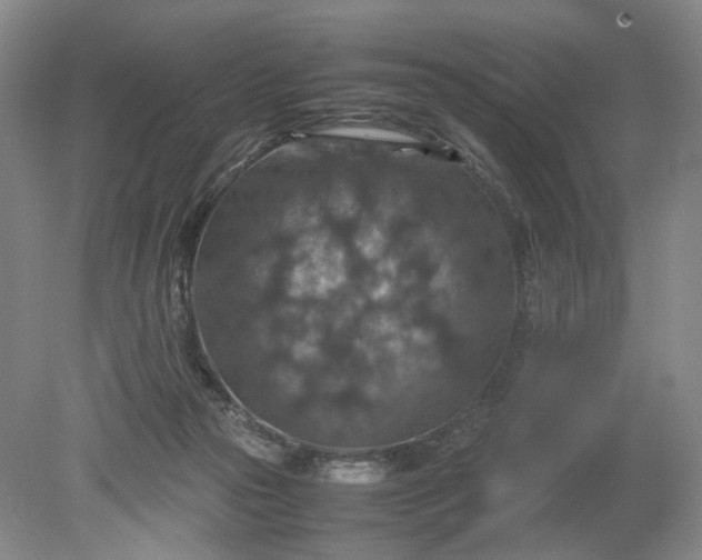 X0000079280169200612011707