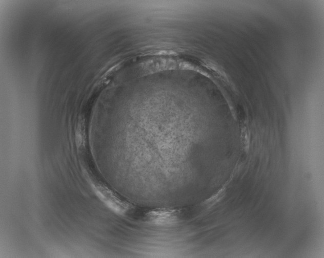 X0000079280170200612011707