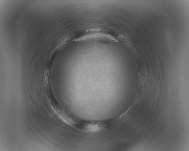 X0000079280171200612011707