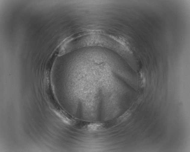 X0000079280172200612011707