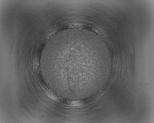 X0000079280173200612011707