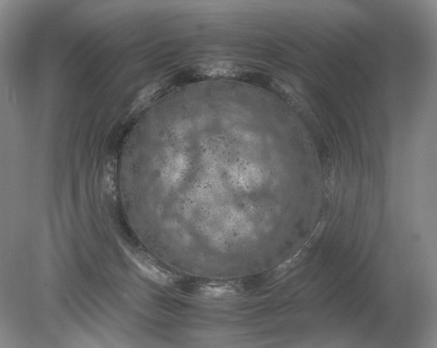 X0000079280175200612011707