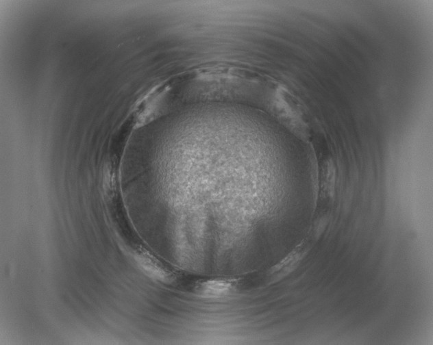 X0000079280176200612011707