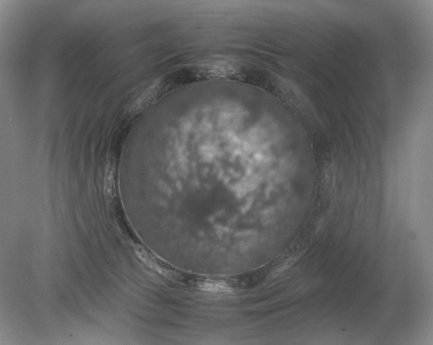 X0000079280177200612011707