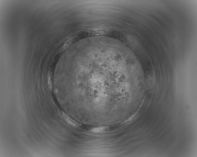 X0000079280178200612011707