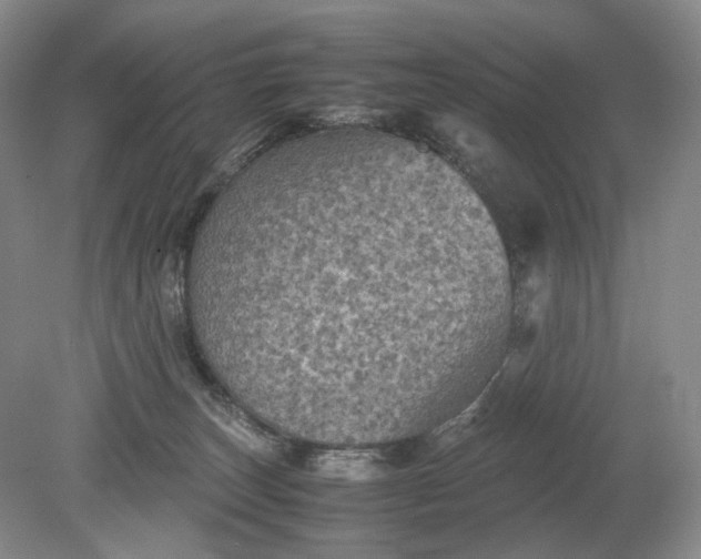 X0000079280179200612011707