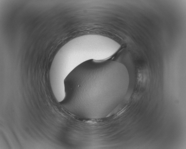 X0000079280180200612011707