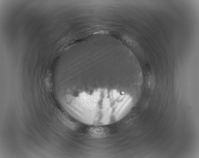 X0000079280181200612011707