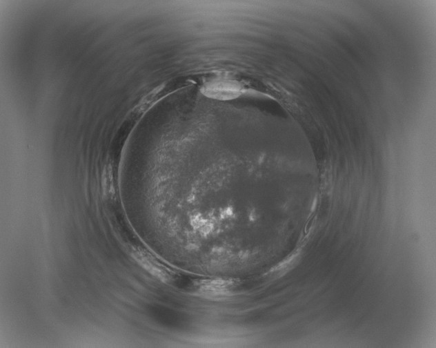 X0000079280182200612011707