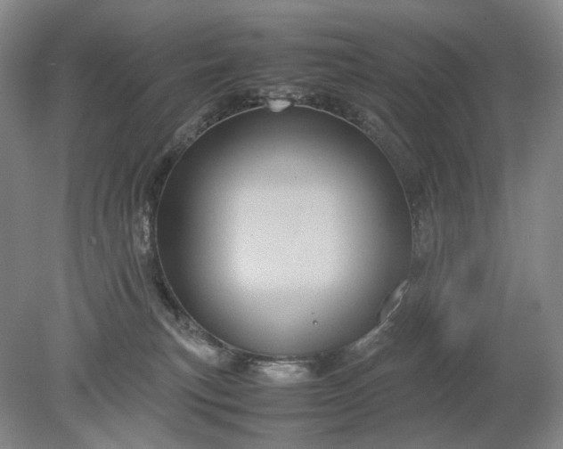 X0000079280183200612011707