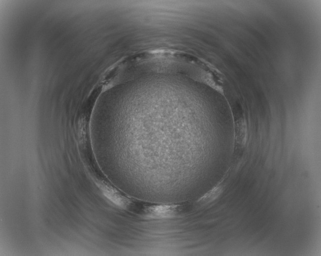 X0000079280184200612011707