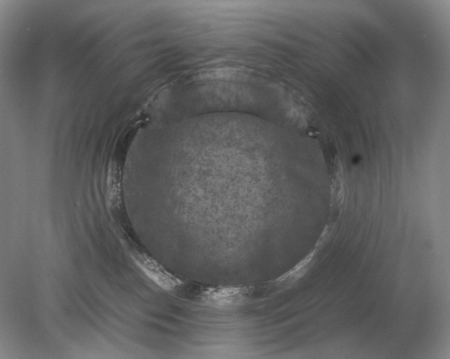 X0000079280186200612011707