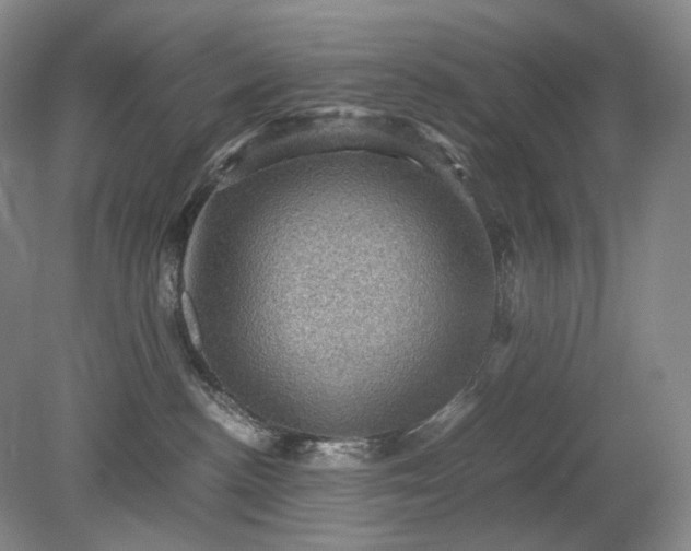 X0000079280188200612011707