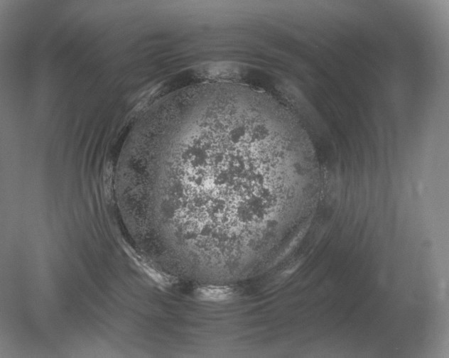 X0000079280189200612011708