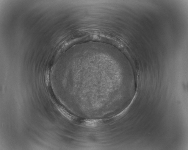 X0000079280190200612011708