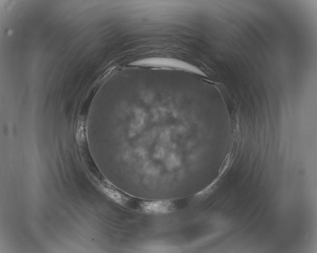 X0000079280191200612011708