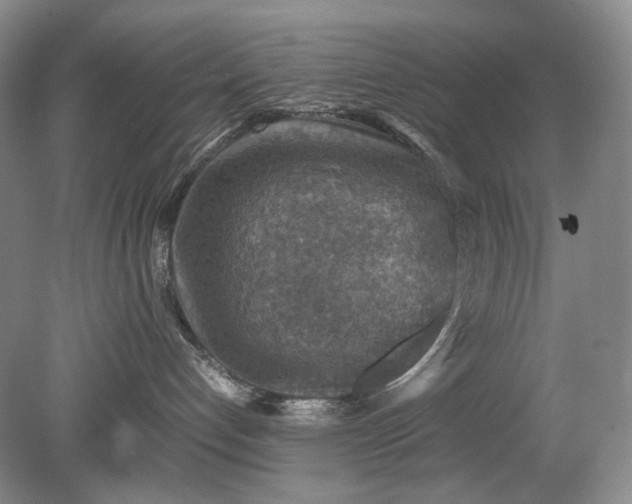 X0000079280192200612011708