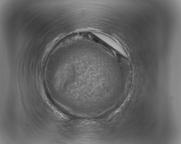 X0000079280193200612011707