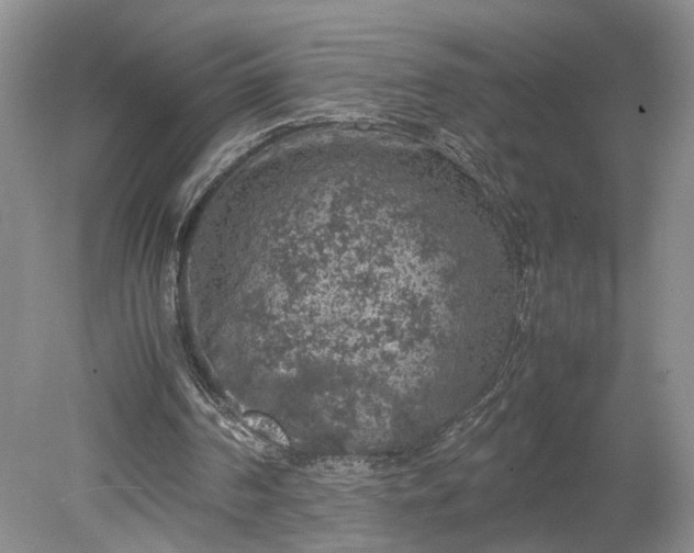 X0000079280194200612011707