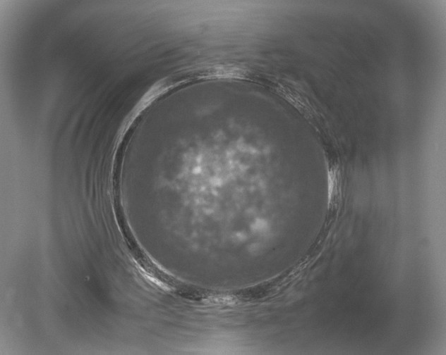 X0000079280195200612011707