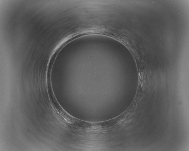 X0000079280196200612011707