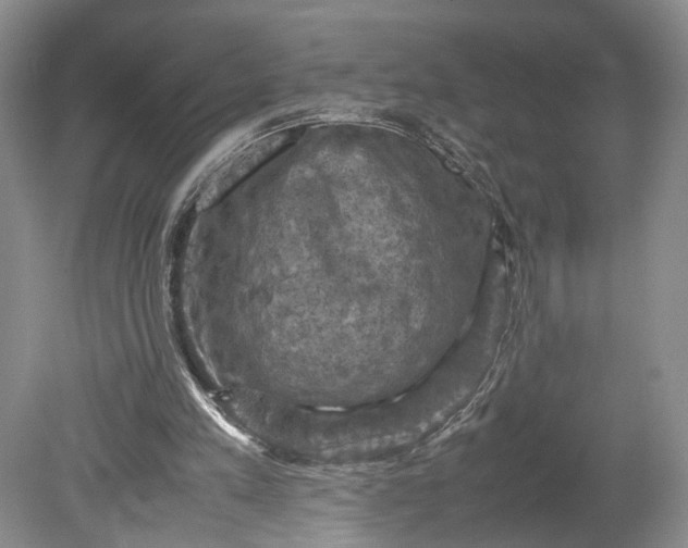 X0000079280197200612011707