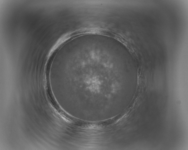 X0000079280198200612011707